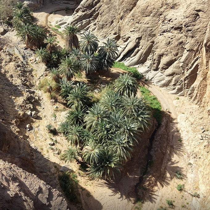 Drone view of the gateway to Wadi Tayyib al Ism where the mountains meet the sea