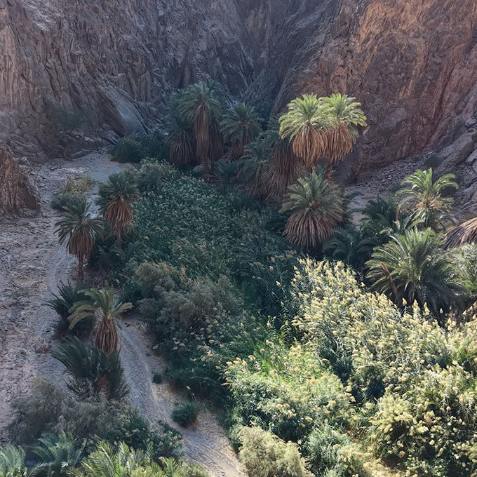 Crystal clear water springs flowing through the ancient rocks of Wadi Tayyib al Ism