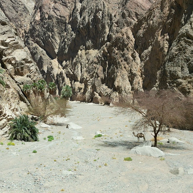 Aerial view of the gravel plateau and open desert terrain of Wadi Tayyib al Ism